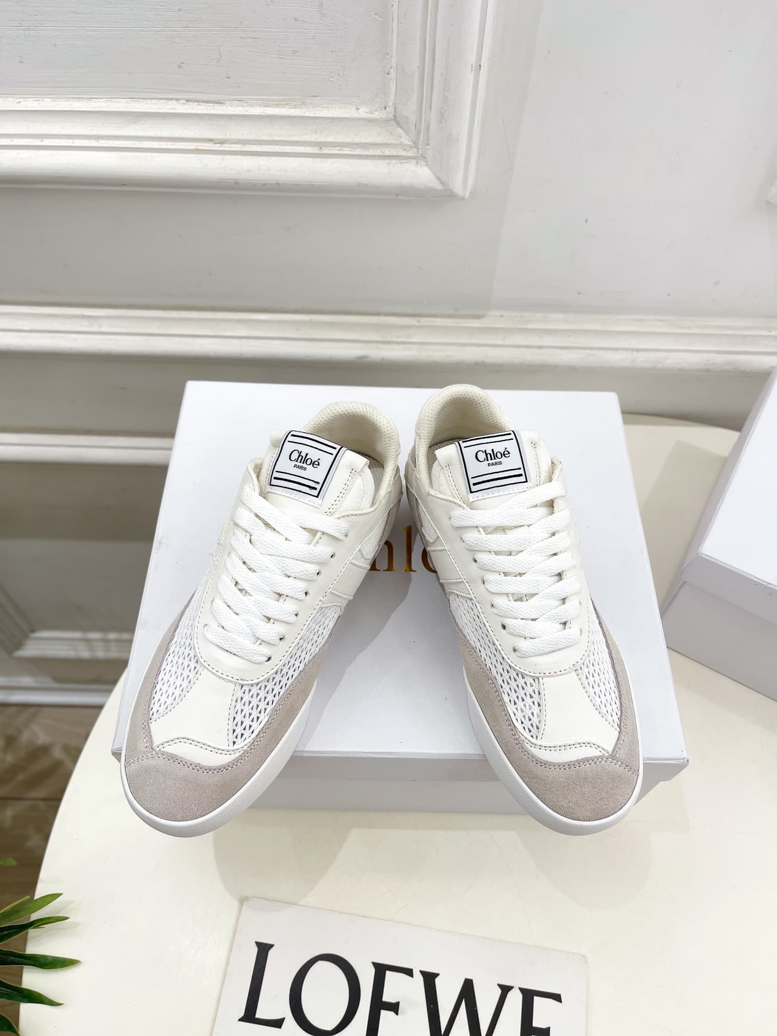 Chloe Women Sneakers