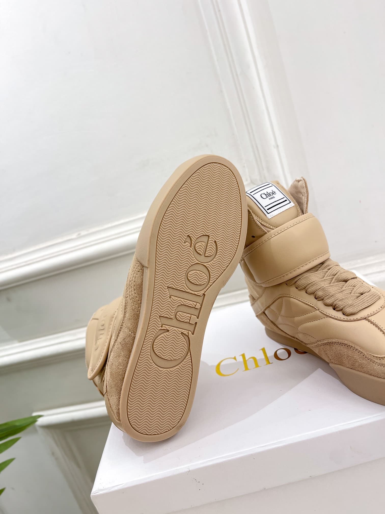 Chloe Women High-TOP Sneakers