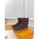 Louis Vuitton Women's Boots