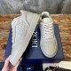 Dior B27 Low-Top Sneaker Gravity