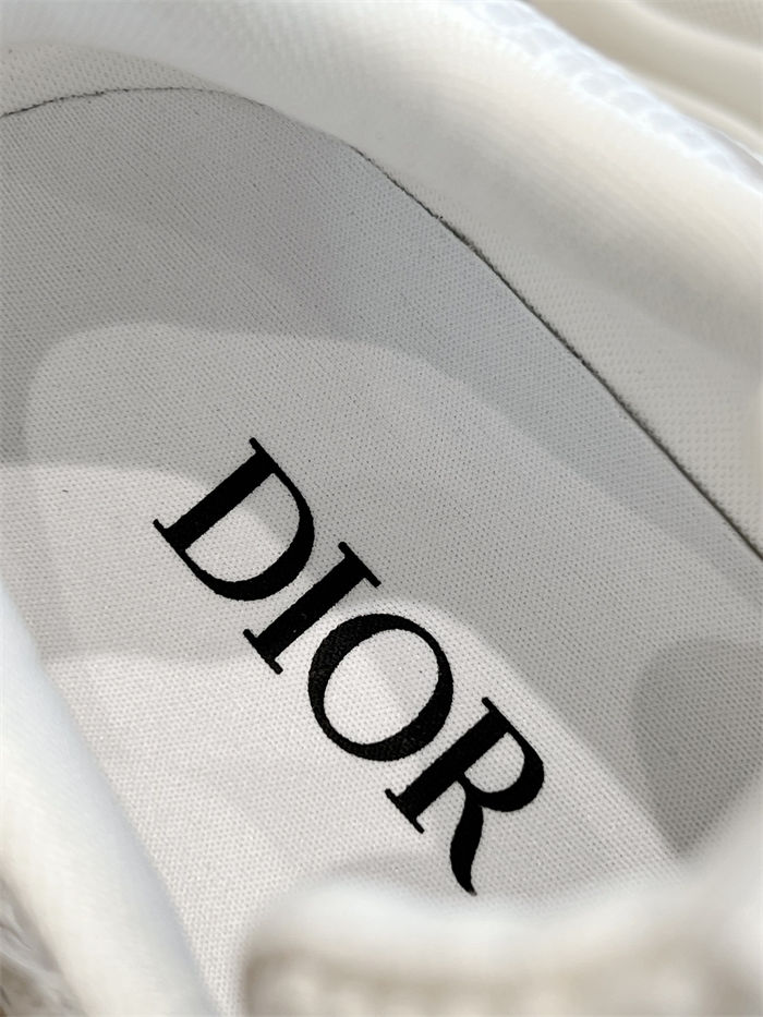 Dior B22 Sneaker