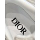 Dior B22 Sneaker