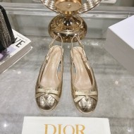 Dior Women's Slingback Pumps 35MM/60MM