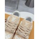 Louis Vuitton LV Trainer Sneaker Brushed