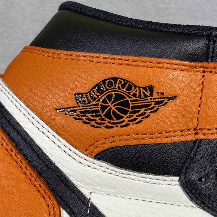 Air Jordan 1 OG Shattered Backboard 555088-005