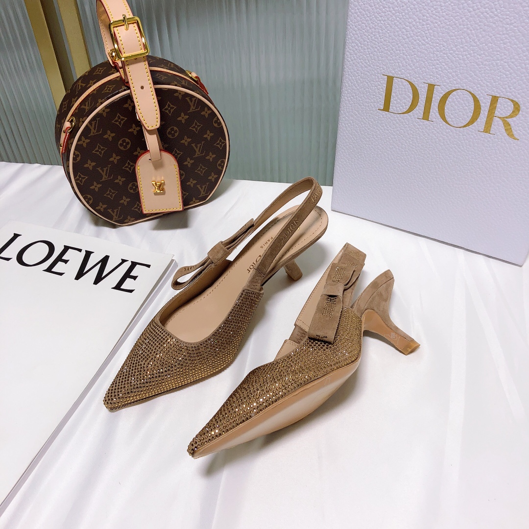 Dior Slingback Pumps