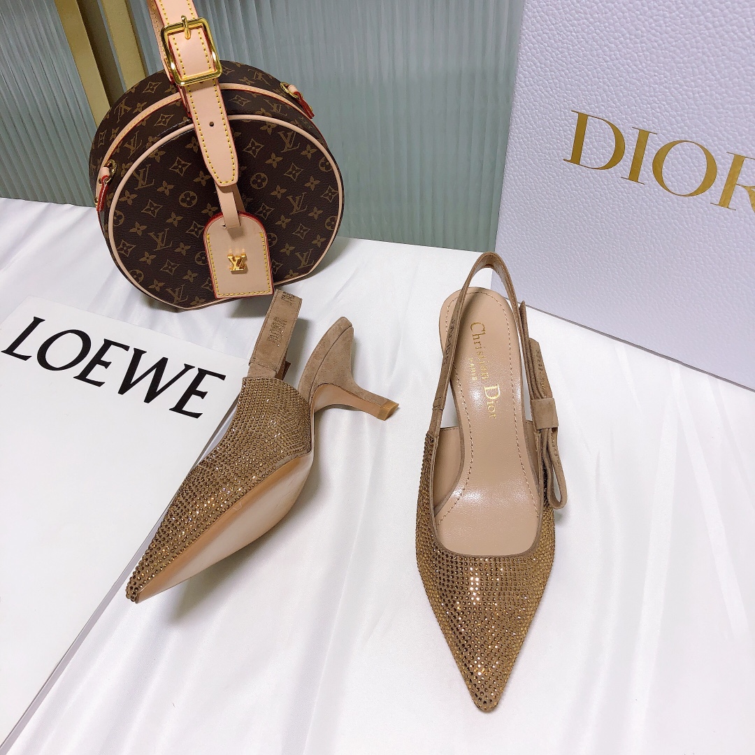 Dior Slingback Pumps