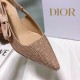 Dior Slingback Pumps