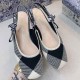 Dior Ballerina Flat