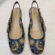 Dior Ballerina Flat