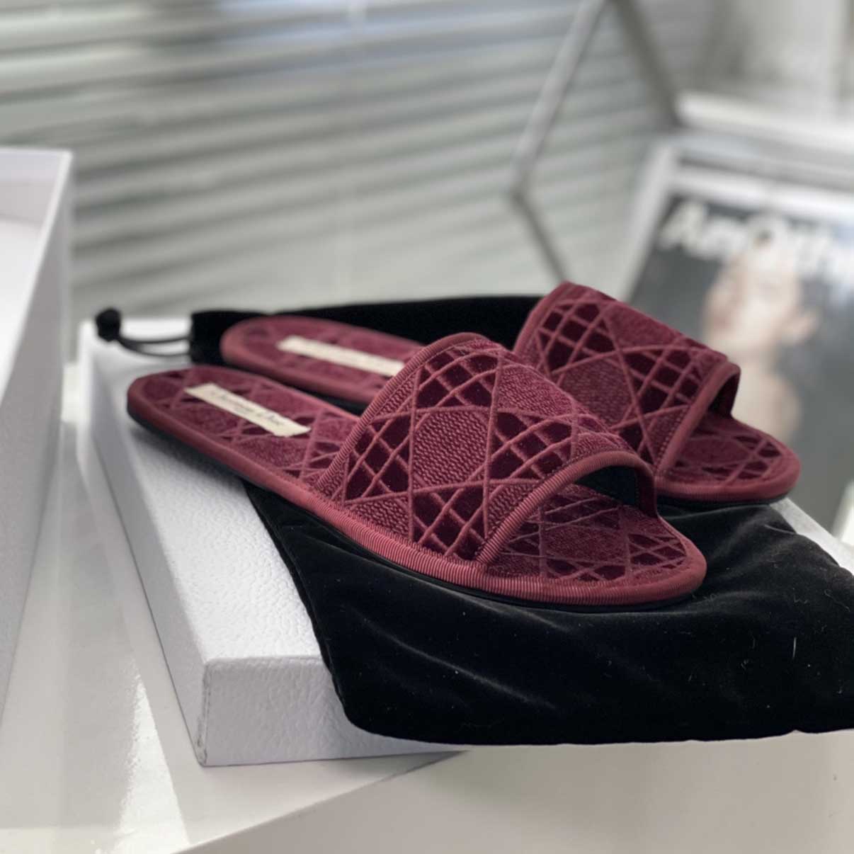 Dior Chez Moi Slide