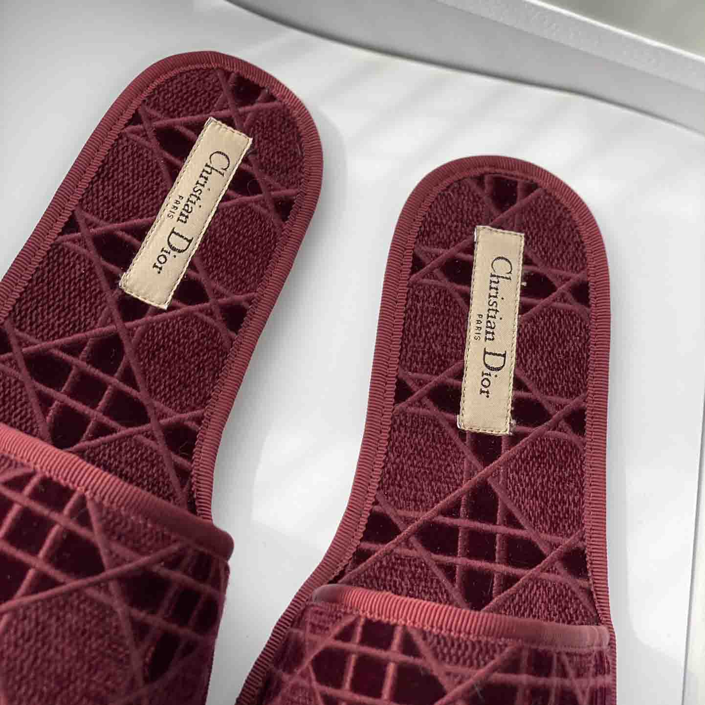 Dior Chez Moi Slide