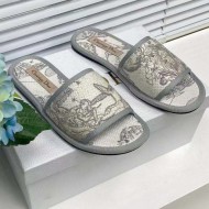 Dior Slide