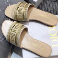 Dior Dway Slide