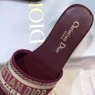 Dior Dway Slide