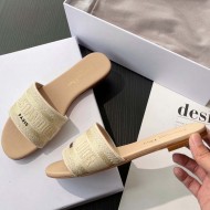 Dior Dway Slide