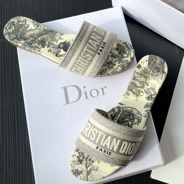 Dior Dway Slide