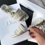 Dior Dway Slide