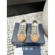 DIOR AND STONE ISLAND B33 Sneaker