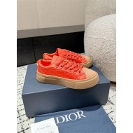 DIOR AND STONE ISLAND B33 Sneaker