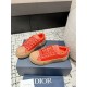 DIOR AND STONE ISLAND B33 Sneaker