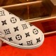 Louis Vuitton Men SNEAKER