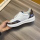 Louis Vuitton Men SNEAKER