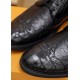 Louis Vuitton Men Loafer