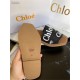 Chloe Women Mules