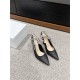 Dior Women's Slingback Pumps