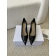 Dior Women's Pumps 80MM