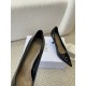 Dior Women's Pumps 80MM