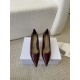 Dior Women's Pumps 80MM