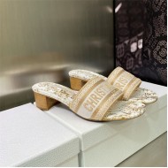 Dior Dway Heeled Slide #4707