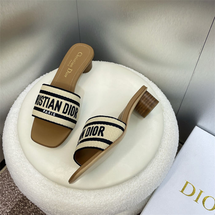 Dior Dway Slide Square Toe