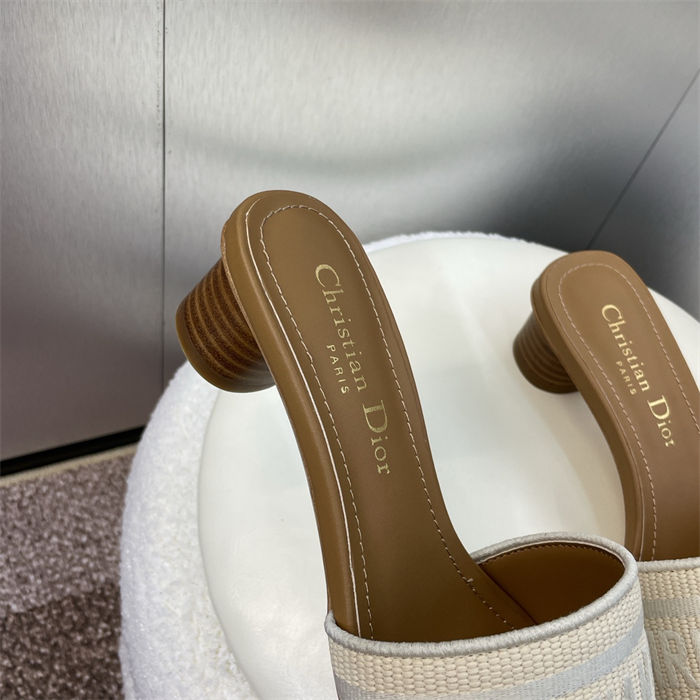 Dior Dway Slide Square Toe