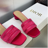 Dior Dway Slide Square Toe