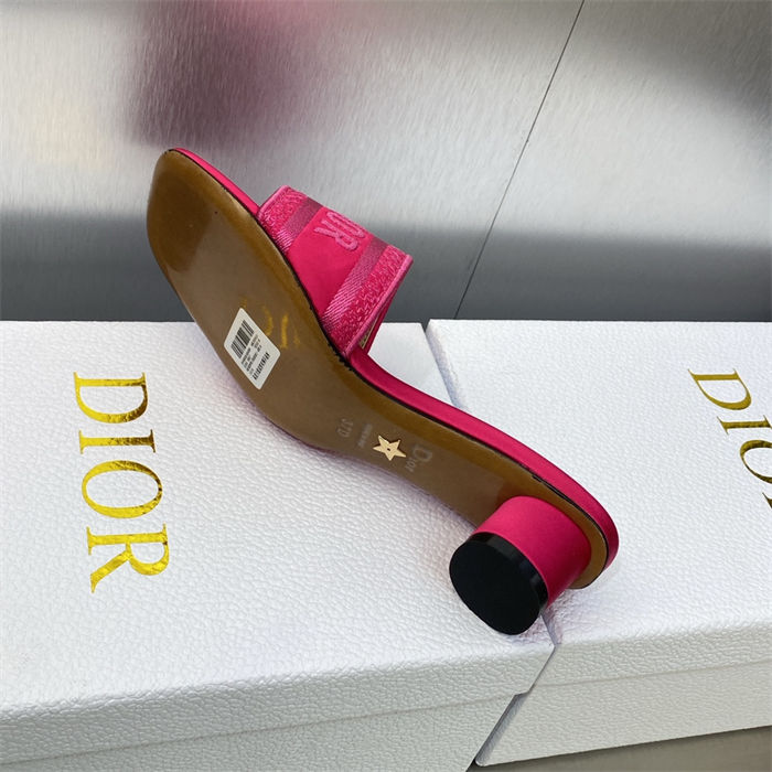 Dior Dway Slide Square Toe