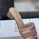 Dior Dway Slide Square Toe