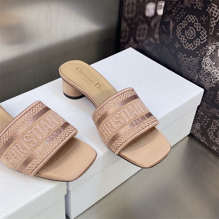 Dior Dway Slide Square Toe