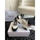 Dior Homme Sneaker B22