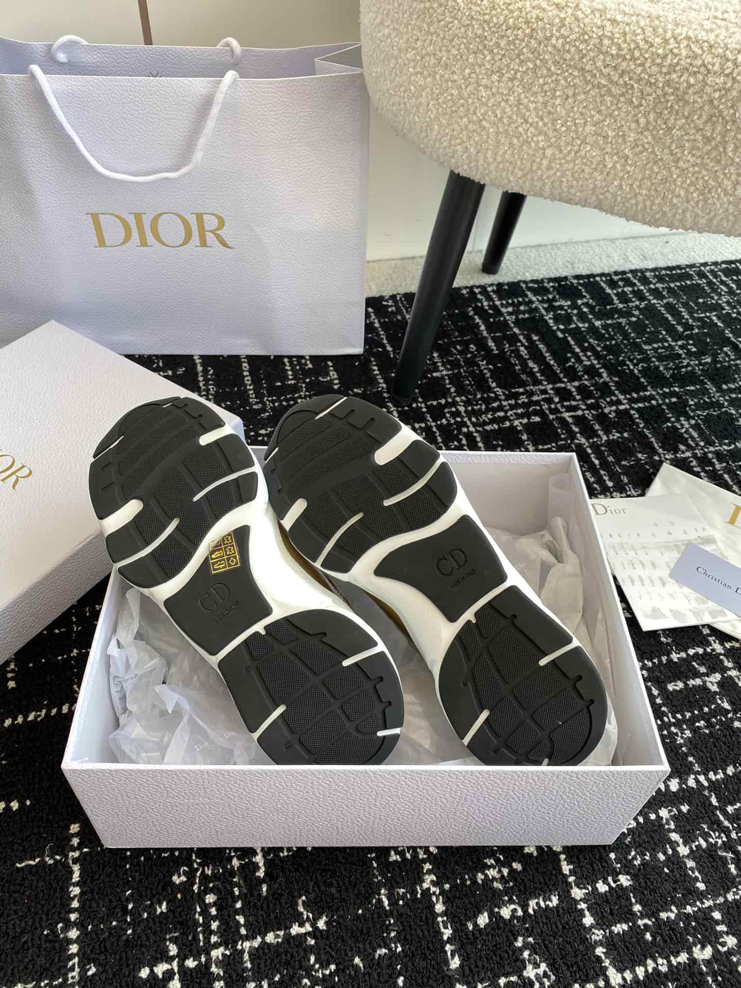 Dior Homme Sneaker B22