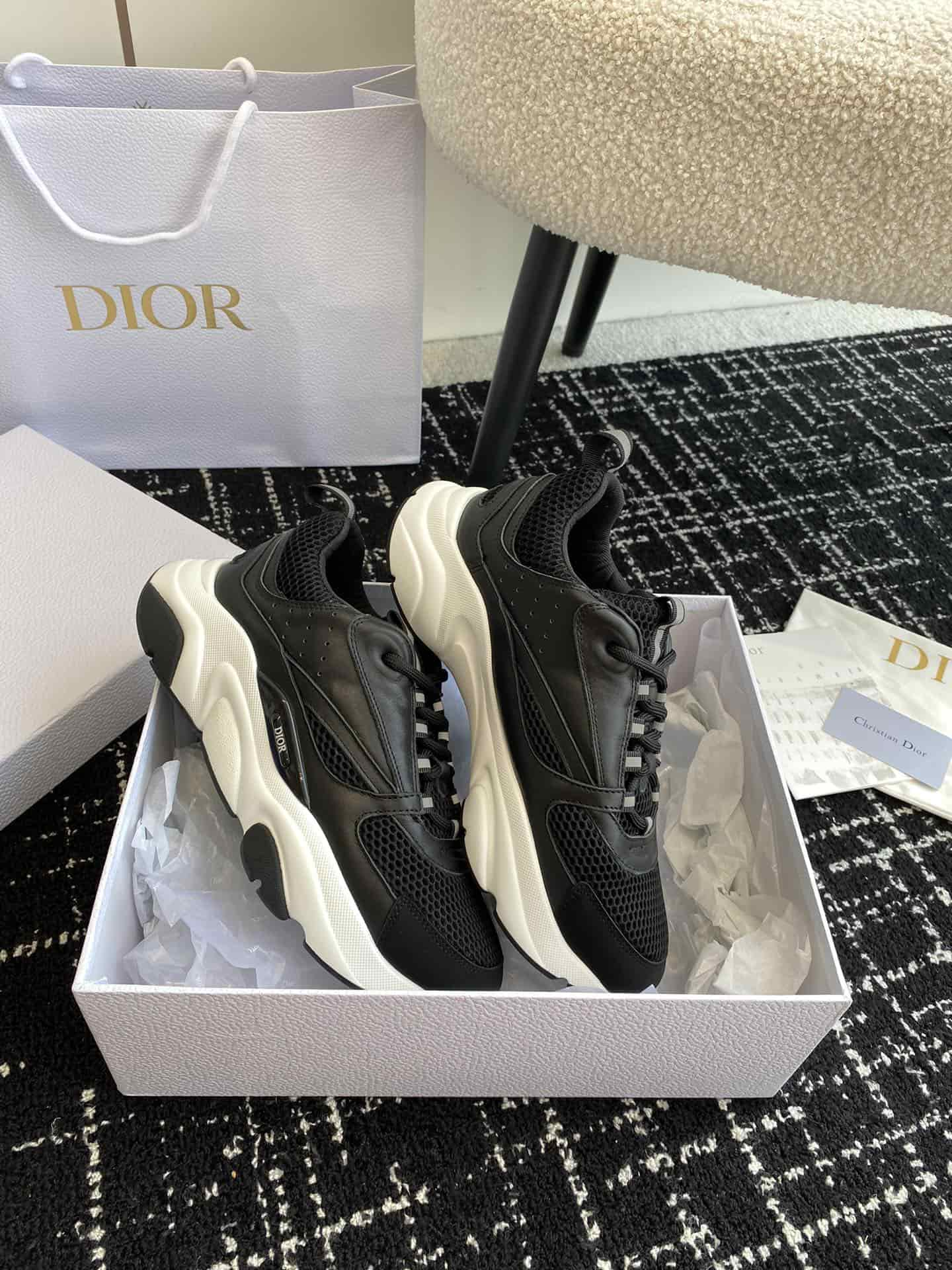 Dior Homme Sneaker B22